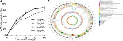 Detoxification of Aflatoxin B1 by a Potential Probiotic Bacillus amyloliquefaciens WF2020